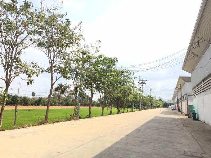 ให้เช่าโรงงานโกดัง ไทรน้อย นนทบุรี  เนื้อที่ 158 ตารางวา พื้นที่ใช้สอย 330 ตารางเมตร ภาพที่ 7
