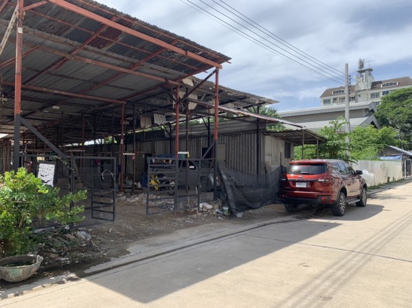 ขายที่ดิน พร้อมโครงสร้าง ใกล้ลาดพร้าว 124  เขตวังทองหลาง กรุงเทพฯ