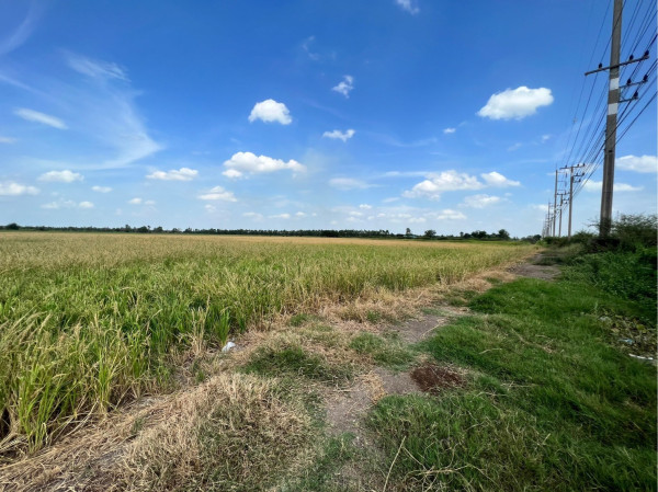 ขายที่ดินติดถนนใหญ่อำเภอบางไทรเสนาน้อยใกล้ตลาด เซเว่น ปั้มน้ามัน โลตัสและบ้านจัดสรร เหมาะสำหรับนักลงทุนที่กำลังหาที่ดินทำธุรกิจในย่านนี้ถือว่าเหมาะมาก