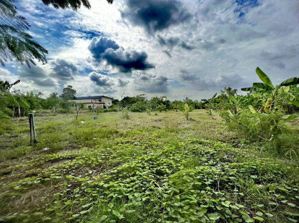 ขายที่ดินหนองแขมซอยหมู่บ้านเพชรมณฑลกรีนใกล้ตลาด เซเว่น ปั้มน้ามัน โลตัสและบ้านจัดสรร เหมาะสำหรับนักลงทุนที่กำลังหาที่ดินทำธุรกิจในย่านนี้ถือว่าเหมาะมาก