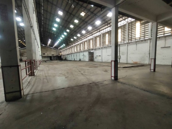 F 4714 ให้เช่าโรงงานโกดังพร้อมออฟฟิศย่านกระทุ่มแบน บนพื้นที่ 4848 ตรม ซอยวิรุณราษฎร ถนนเศรษฐกิจ 1 ตำบลท่าไม้ อำเภอกระทุ่มแบน สมุทรสาคร ภาพที่ 3