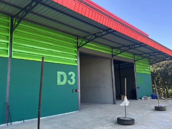 F 3920 ให้เช่าโกดังโรงงานพร้อมออฟฟิศย่านไทรน้อย ขนาด 250 ตรมหลัง บริเวณไทรน้อย นนทบุรี  ถนนบางเลนปทุมธานี  บนถนน346 ปทุมธานีบางเลน