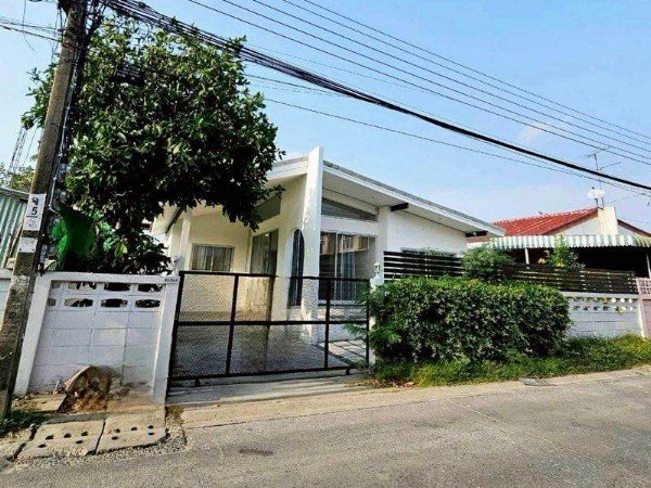 H 1991 ให้เช่าบ้านเดี่ยวชั้นเดียวย่านเสนานิคมลาดพร้าว บนที่ดิน 56 ตารางวา พื้นที่ใช้สอย 120 ตารางเมตรบ้านโล่ง  สไตลโฮมออฟฟิศ ลมดี มีต้นไม้ ทะลุได้หลายซอย